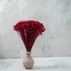 Hill Blume - Rot Produktbild-Vorschau 3