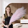 LAYBA Künstliches Pampasgras 3er-Set Rosa 100 cm, 18 Produktbild-Vorschau 2