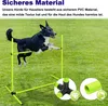 XINZI 4X Vert Haies pour chiens Équipement d'agilité Barres Voir les images du produit 5