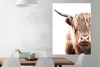 MuchoWow® Poster Schottischer Highlander - Kuh - Weiß Produktbild-Vorschau 2