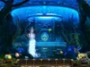 Hidden Path of Faery Produktbild-Vorschau 4