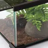 Repti-Zoo Terrarium AK 21x31x15 Repti-Zoo Produktbild-Vorschau 5