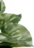 Umělá rostlina PHILODENDRON, 40 cm Náhled obrázku produktu 2