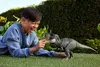 Jouet dinosaure Tyrannosaurus Rex, mâchoires lumineuses, Voir les images du produit 7