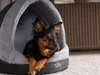 TrendPet LunaHome Kuschelhöhle grau (42x43x46cm) Produktbild-Vorschau 5
