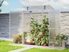 GFP Gewächshaus Tomatenhaus EMMA 147 x 76 x 173 cm, 8 mm Produktbild-Vorschau 6