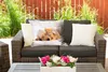 MuchoWow® Outdoor Kissen - Tiere - Hund - Kätzchen - Rot - Produktbild-Vorschau 5