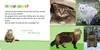 Hör mal rein - Kuschelige Tiere Anteprima dell’immagine prodotto 7