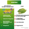 Greenyp Schmetterlingstreff Blumenmischung I 100g für 100m² Produktbild-Vorschau 3