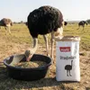 PANTO Straußenkorn 5mm 25kg - Für Straußen, Emus und Nandus Produktbild-Vorschau 3