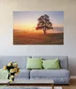 Wallario Poster - Sonnenaufgang über der Wiese mit Nebel, Produktbild-Vorschau 2
