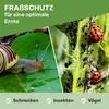 TTL GARDEN PE Frühbeetfolie 10x3m gelocht 20g/m² Produktbild-Vorschau 6