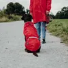 Hunter Hunde-Regenmantel Uppsala Rain, Größe:40, Farbe:rot Produktbild-Vorschau 9