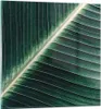 Bilder auf glas - Einteilig - Grün Blatt Tropisch - 30x30cm Produktbild-Vorschau 1