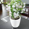 Fioriera LECHUZA CLASSICO Premium LS 21 Bianco lucido | Anteprima dell’immagine prodotto 12