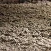 STROY Miscanthus Pellets Einstreu 15kg x 65 Sack 975kg Produktbild-Vorschau 5