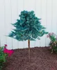 Juniperus horizontalis 'Blue Chip', Kriech-Wacholder, Produktbild-Vorschau 7