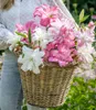 BALDUR Garten Duft-Lilien 'Lotus Mix', 4 Zwiebeln, große, Produktbild-Vorschau 3