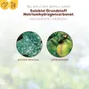 Solabiol natürliche Mehltau - Abwehr Grundstoff Produktbild-Vorschau 6