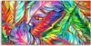 Coloray Spritzschutz aus Glas 100x50  Wandkunst Produktbild-Vorschau 1