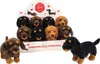 Teddy-Hermann jazvečík stojaci 3-farebný rôznofarebný 21 cm Náhľad obrázku produktu 1