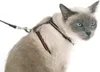Set aus Halsband, Geschirr und Leine f. Katzen, Produktbild-Vorschau 2