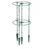 Pflanzenhalter Tomatensäule Blumenhalter Rankhilfe Produktbild-Vorschau 9