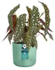 elho 8711904516475, Groen, Kunststof, Rond, 100%, 100%, 2,2 Productafbeelding-voorbeeld 3