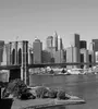 Fototapete - Manhattan Gray 225x250cm - Vliestapete Produktbild-Vorschau 1