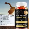 Pure Himalayan Shilajit Gold Gummies (100 gumových Náhled obrázku produktu 2