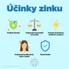 Infographic illustrating the benefits of zinc with icons and text. Anteprima dell’immagine prodotto