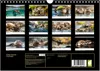 Wilde Heimat - Fischotter (Wandkalender 2026 DIN A4 quer), Produktbild-Vorschau 2