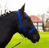 Halfter Fohlen Halfter für Mini Shetty Halfter für Produktbild-Vorschau 1