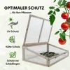 A wooden cold frame with an open lid, showing seedlings inside, with tomatoes growing on a vine in the background and feature icons on the left. Produktbild-Vorschau