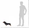vidaXL Plüschtier Hund Dackel Stehend Plüsch Schwarz XXL Produktbild-Vorschau 3