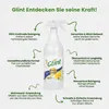 Glint Herbal Cleaner, allesreiniger, sprayflacon, met Productafbeelding-voorbeeld 4