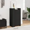 vidaXL Szafka na buty czarna 52x37,5x100 cm materiał Podgląd zdjęcia produktu 2