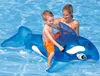 Reittier Kleiner Delfin 152cm mit Griff Produktbild-Vorschau 12