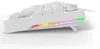Sharkoon SGK25, 75%, Kabelgebunden, USB, QWERTZ, RGB-LED, Produktbild-Vorschau 7