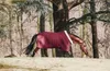 Kentucky Horsewear Show Rug 160g, Taille:145, Voir les images du produit 7