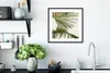 MuchoWow® Gerahmtes Poster Palme - Himmel - Blätter 40x40 Produktbild-Vorschau 4