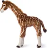 A plush toy giraffe standing on a white background. Produktbild-Vorschau