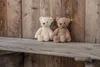 Steiff 067174 Soft Cuddly Friends Medvídek Tommy, plyš, 20 Náhled obrázku produktu 2