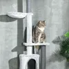 PawHut tiragraffi a soffitto, albero per gatti, tiragraffi Anteprima dell’immagine prodotto 8