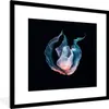 MuchoWow® MuchoWow® Gerahmtes Poster Qualle - Blau - Rosa Produktbild-Vorschau 1