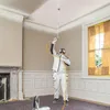 Pulvérisateur de peinture Airless SuperFinish 21 Pro - Voir les images du produit 2