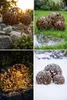 Garten und Terrasse Dekoration Gartenkugel Rustikal Stahl Produktbild-Vorschau 10