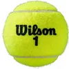 Wilson Tennisball "Roland Garros", All Court Produktbild-Vorschau 2
