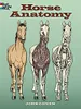 Horse Anatomy Produktbild-Vorschau 2