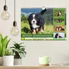 Berner Sennenhunde - Freunde für ein ganzes Leben Produktbild-Vorschau 3